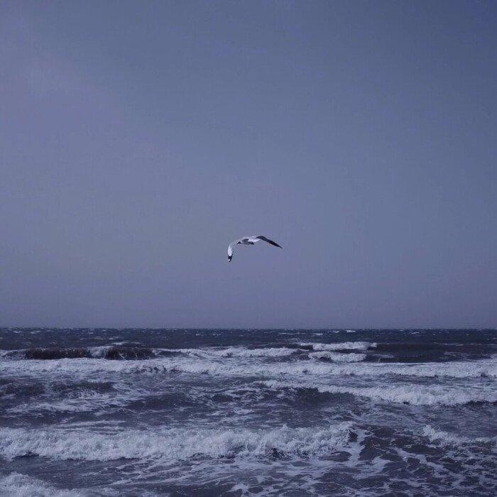 雷雨海浪自然 | 今夜沉入梦境的海洋