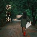 骇河街专辑