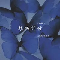 悲伤剧情(王忻辰 吴欣雨 伴奏)