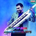 Best of 2014: Anup Musical Hits