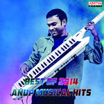 Best of 2014: Anup Musical Hits专辑