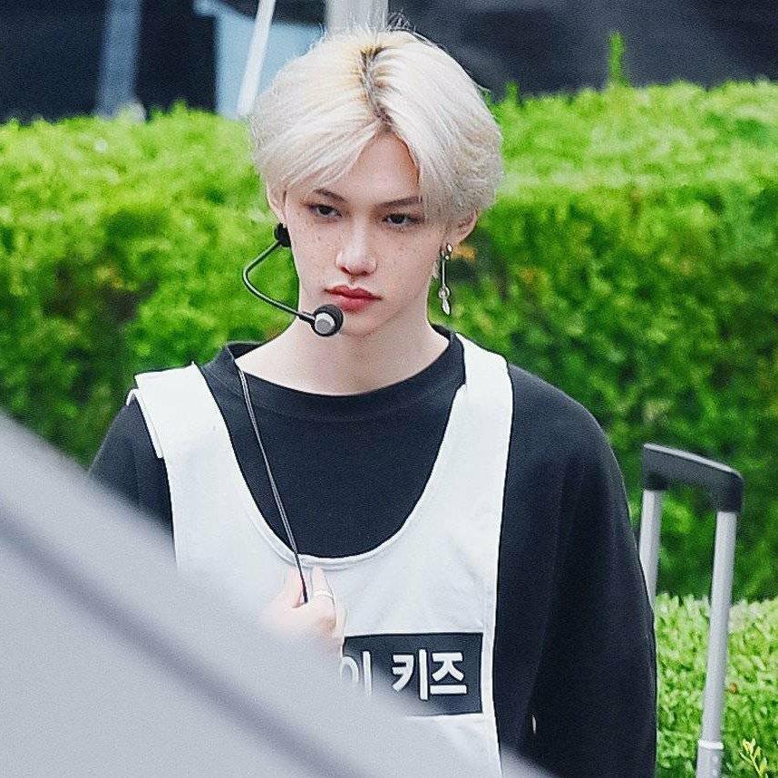 STRAY KIDS용복이李龙馥Felix