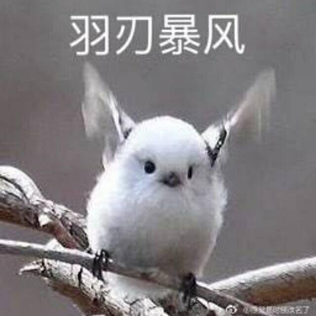 玄凤口哨练习曲