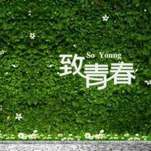 【青年节特辑】致:我们终将逝去的青春