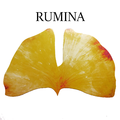 RUMINA