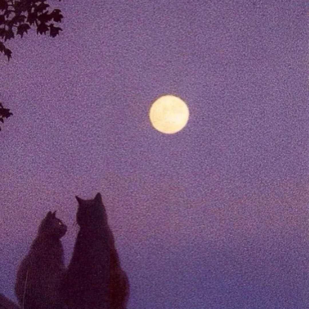 自己开心一切安好