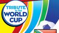 Tribute to the World Cup: South Africa专辑