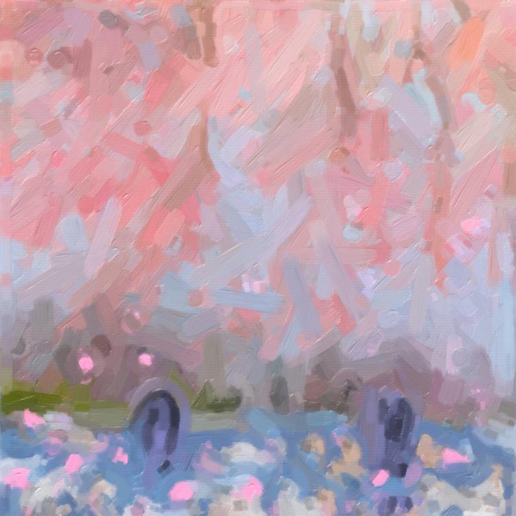 哪片樱花刚好落在你面前