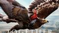 Together We Fly: Family Adventure专辑