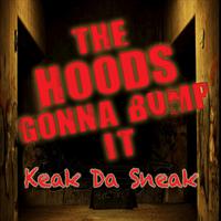 Keak Da Sneak - Sneak Come Out At Night (instrumental)