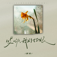 野哥 - 哎呦我的姑娘 (原版伴奏)