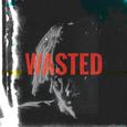 Wasted