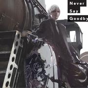 Never say good bye