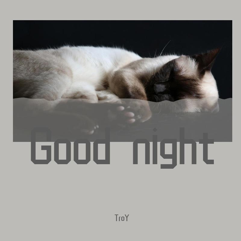 Good night