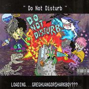 " Do Not Disturb "专辑