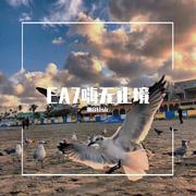 EA7（抖腿电嗨）