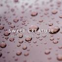 Sweet Creature (Piano Rendition)专辑