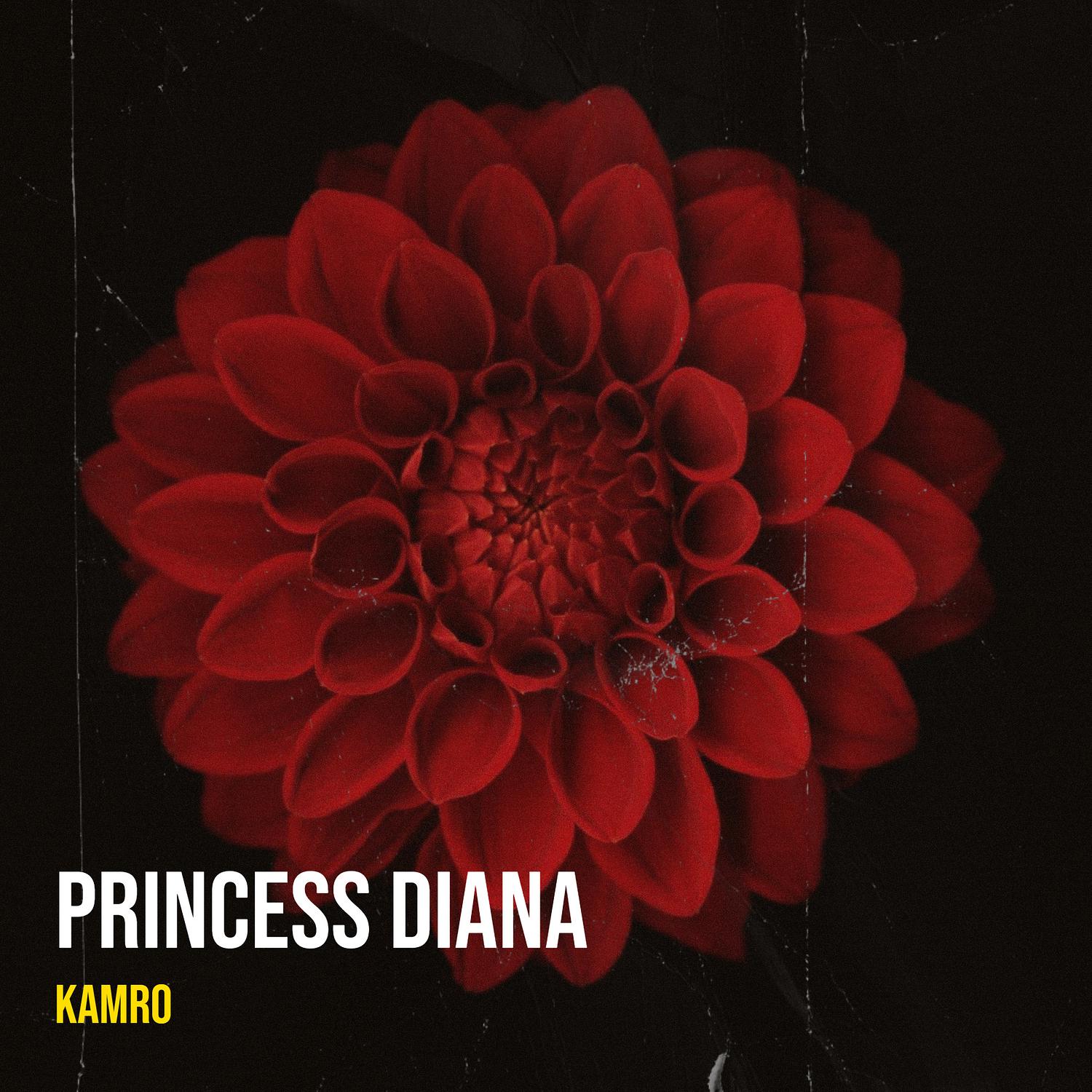 Kamro - Princess Diana