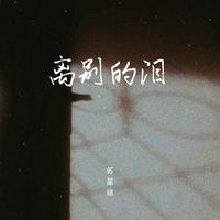 苏星婕 - 离别的泪(伴奏)