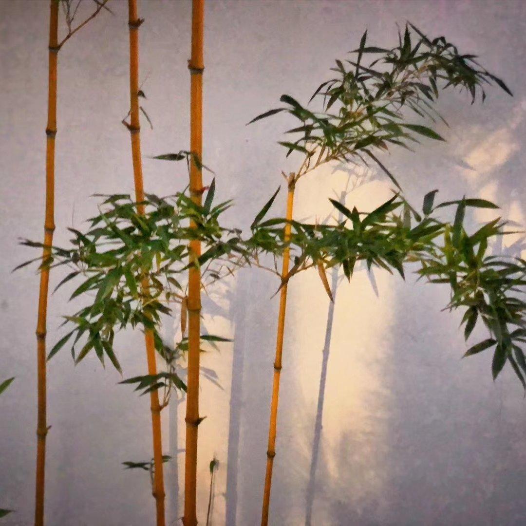 左手指月 古琴版