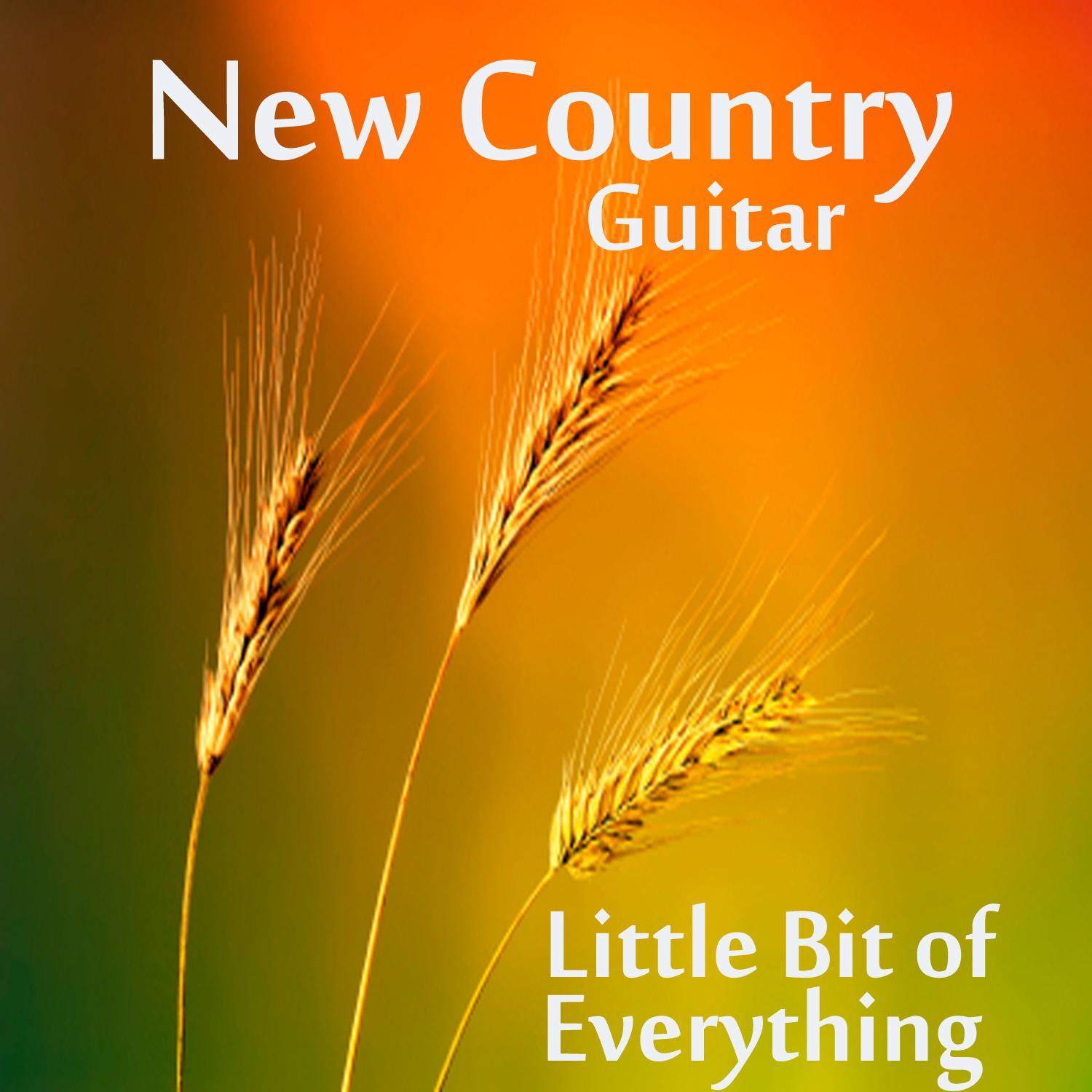 New Country Guitar: Little Bit of Everything