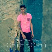 Perfecta - Single