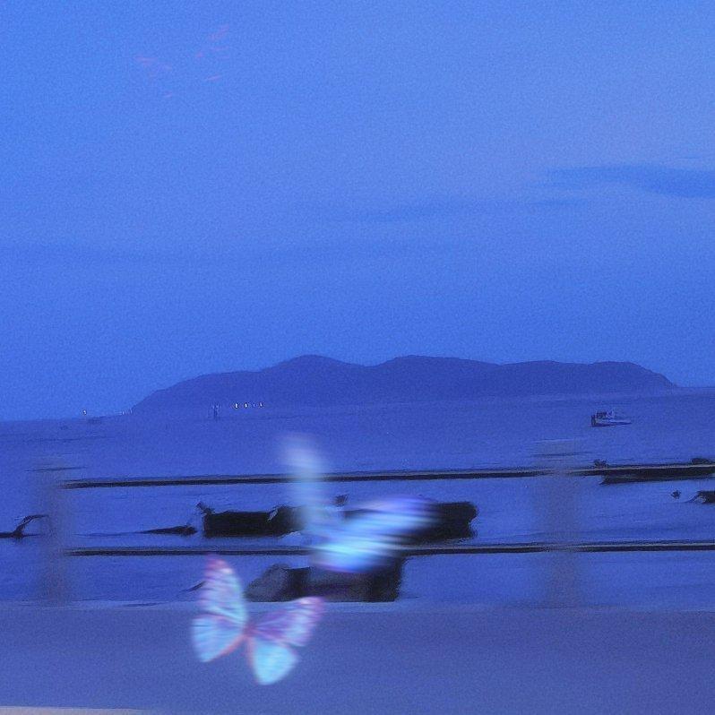 浪潮上岸 | 夜半微醺，深陷克莱因之梦