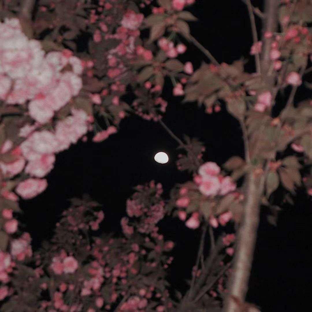收集各种奇奇怪怪的东西•ᴗ•