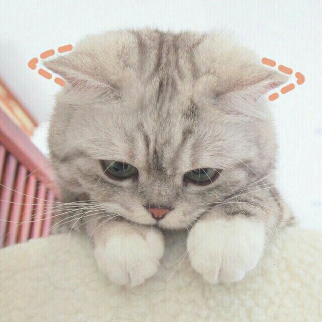 『极限操作配乐≧﹏≦』