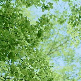 「混搭」秀郁清新，初夏的味道