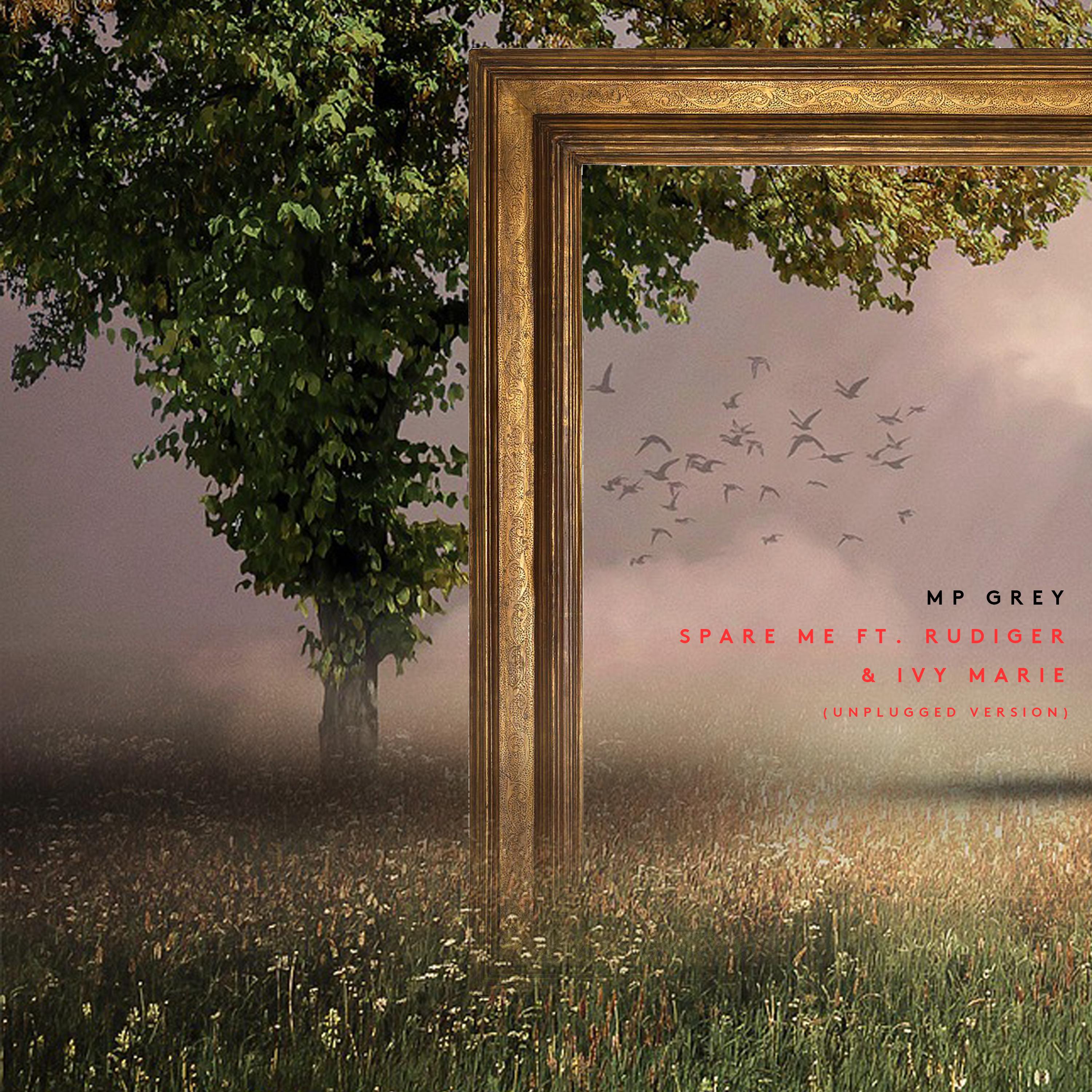 Spare Me (Unplugged Version)