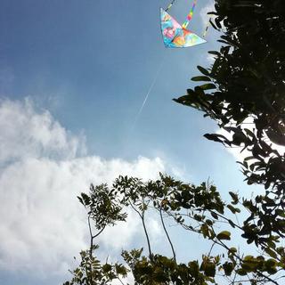 阿喵的七月