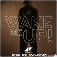 Wake me up（Mashup By Eric911）-ERIC 911