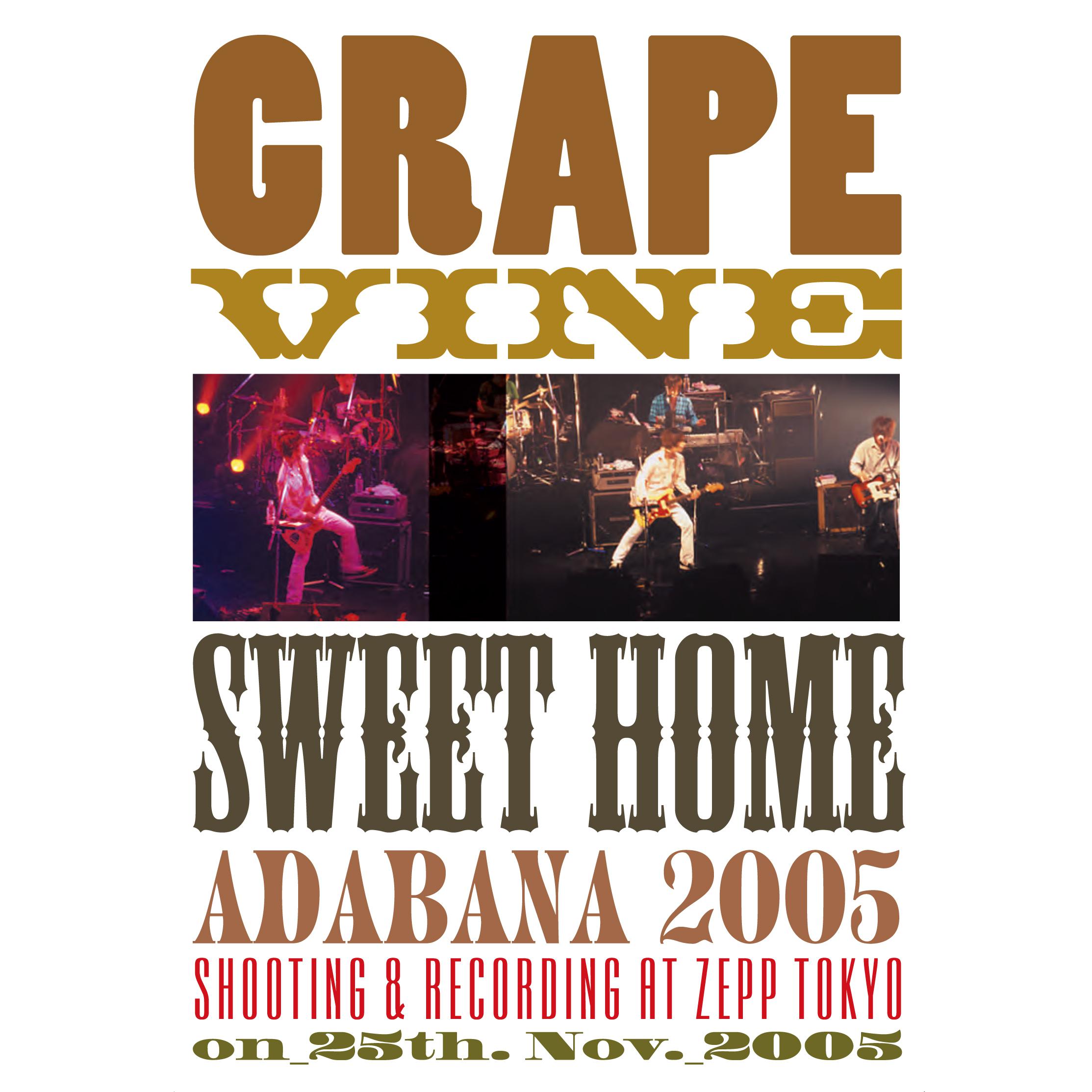 sweet home adabana 2005专辑