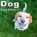 Dog Sound Effects专辑