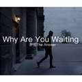 Why Are You Waiting