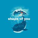 Shape of You专辑