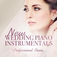 Wedding Piano - A Thousand Miles (low Version Instrumental)