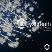 Babysbreath (满天星)