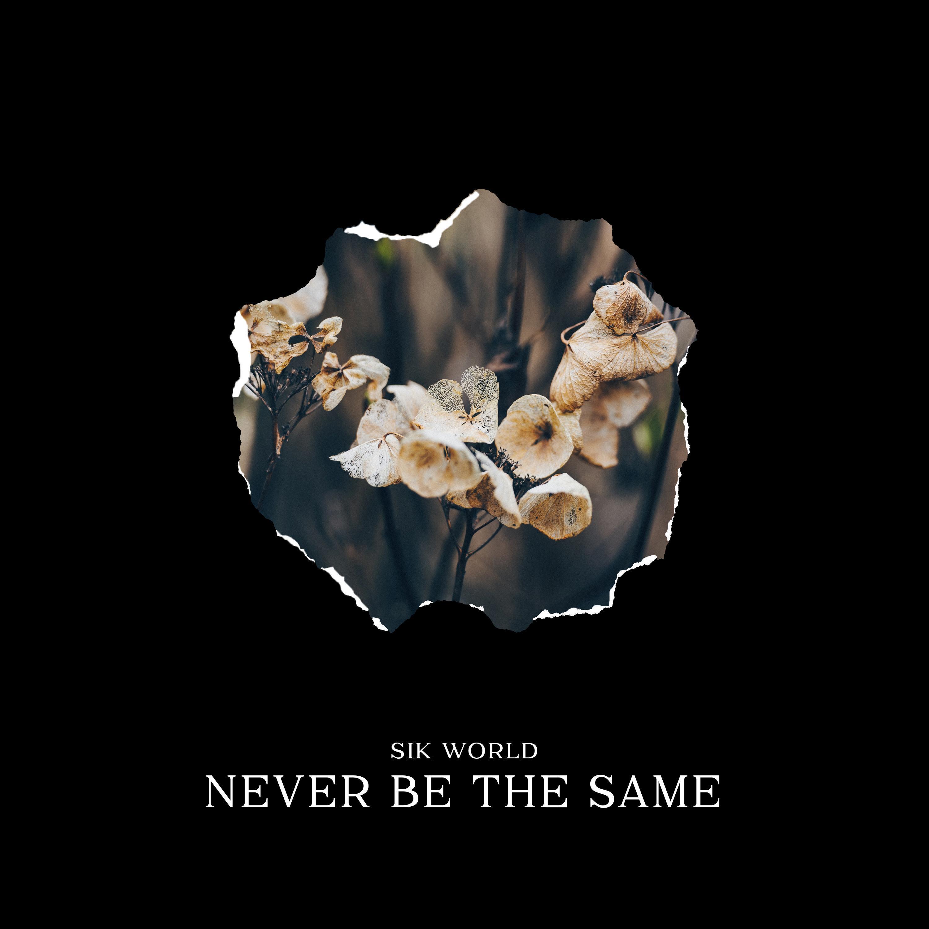 Never be the same (WHITE Remix) F