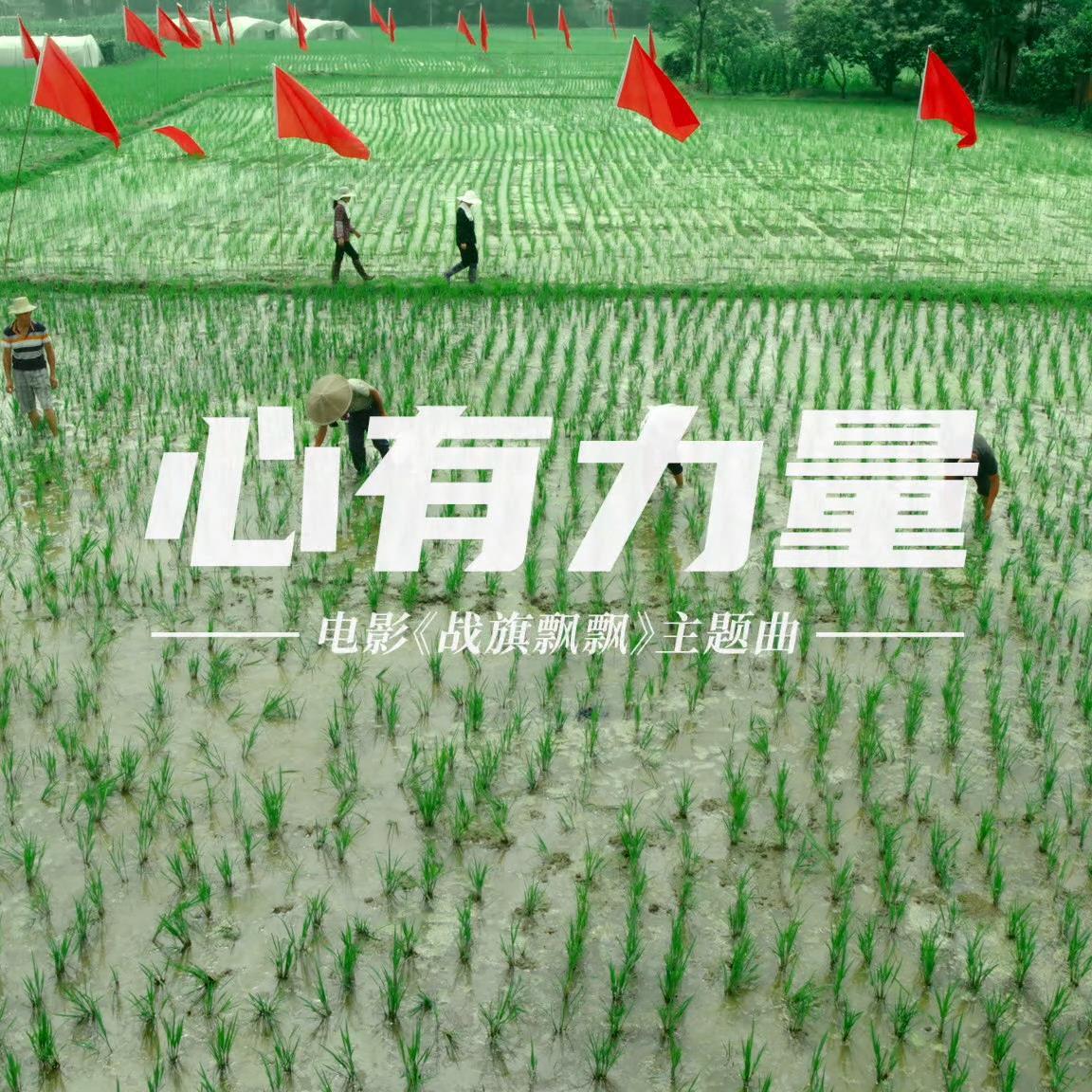 心有力量