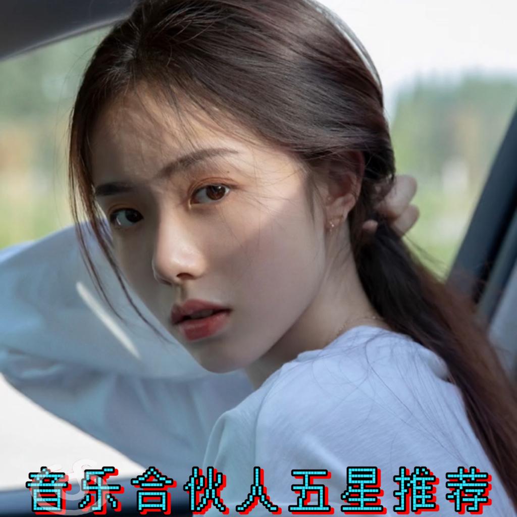 音乐合伙人五星精选推荐