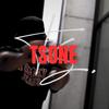 tsone - VOZI