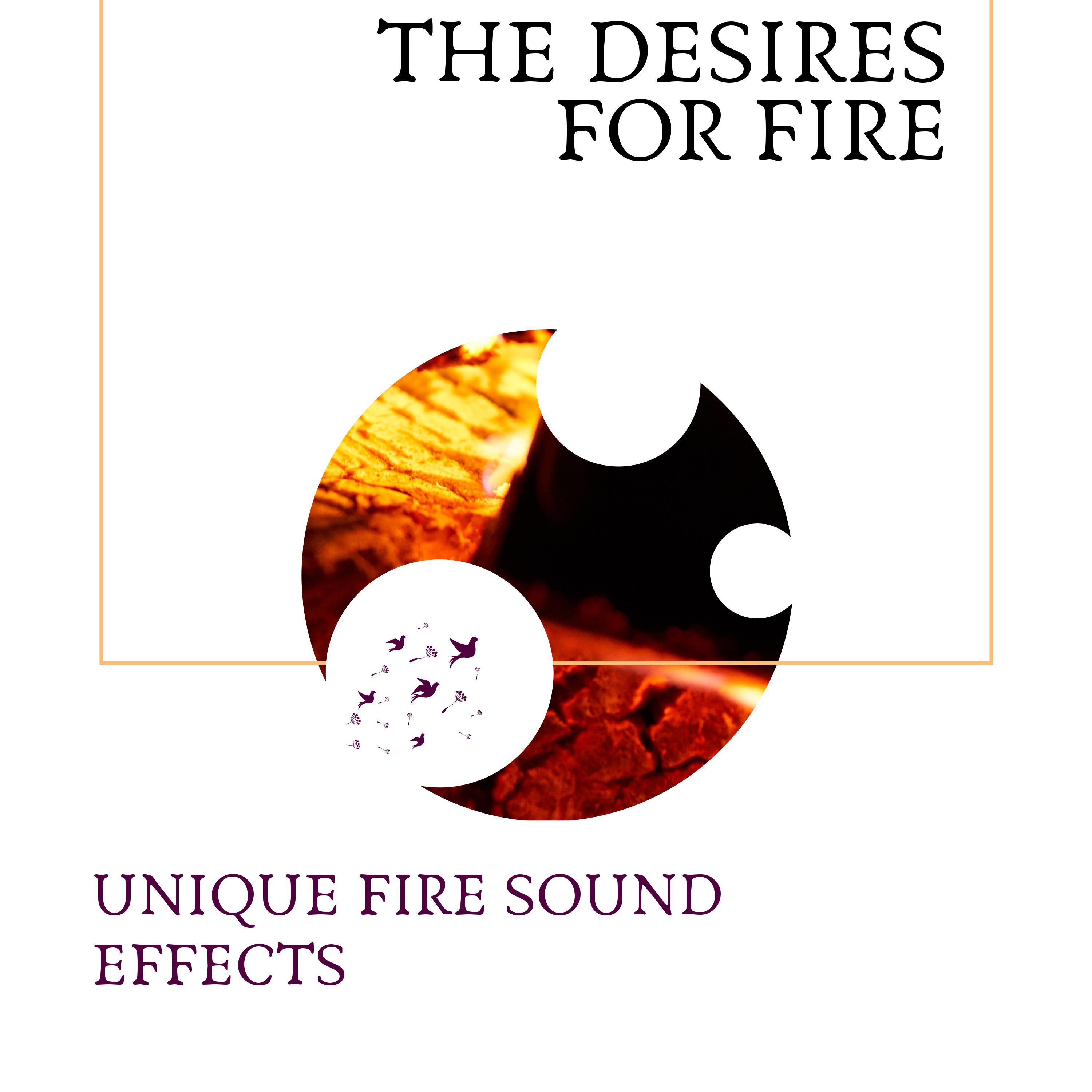 New Flames Melodies Fire Sound Project - Burning Woods Relaxing Sounds