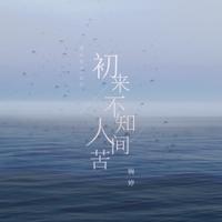 婉婷 - 初来不知人间苦(DJ版原版伴奏)