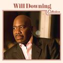 Will Downing Collection专辑