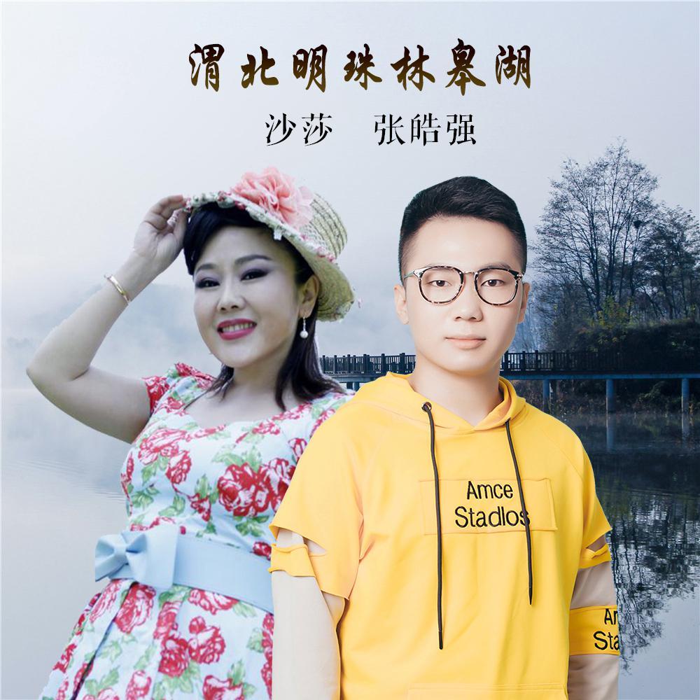 渭北明珠林皋湖