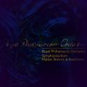 Royal Philharmonic Orchestra: Symphonies from Mahler, Brahms & Beethoven专辑