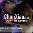 春晓Dawn of Spring专辑