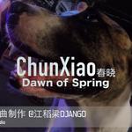 春晓Dawn of Spring专辑